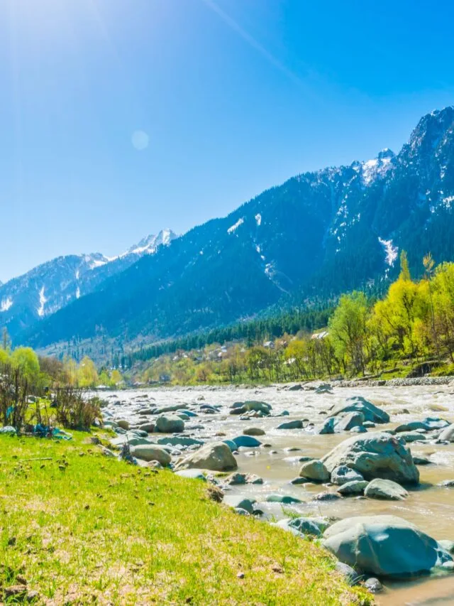 5 Happy Living Quotes To Guide You To a Happy Life